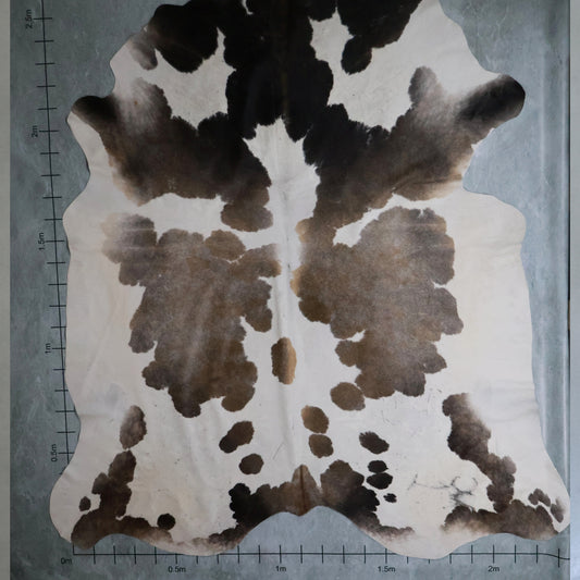 Premium Nguni Hide #AAS7989
