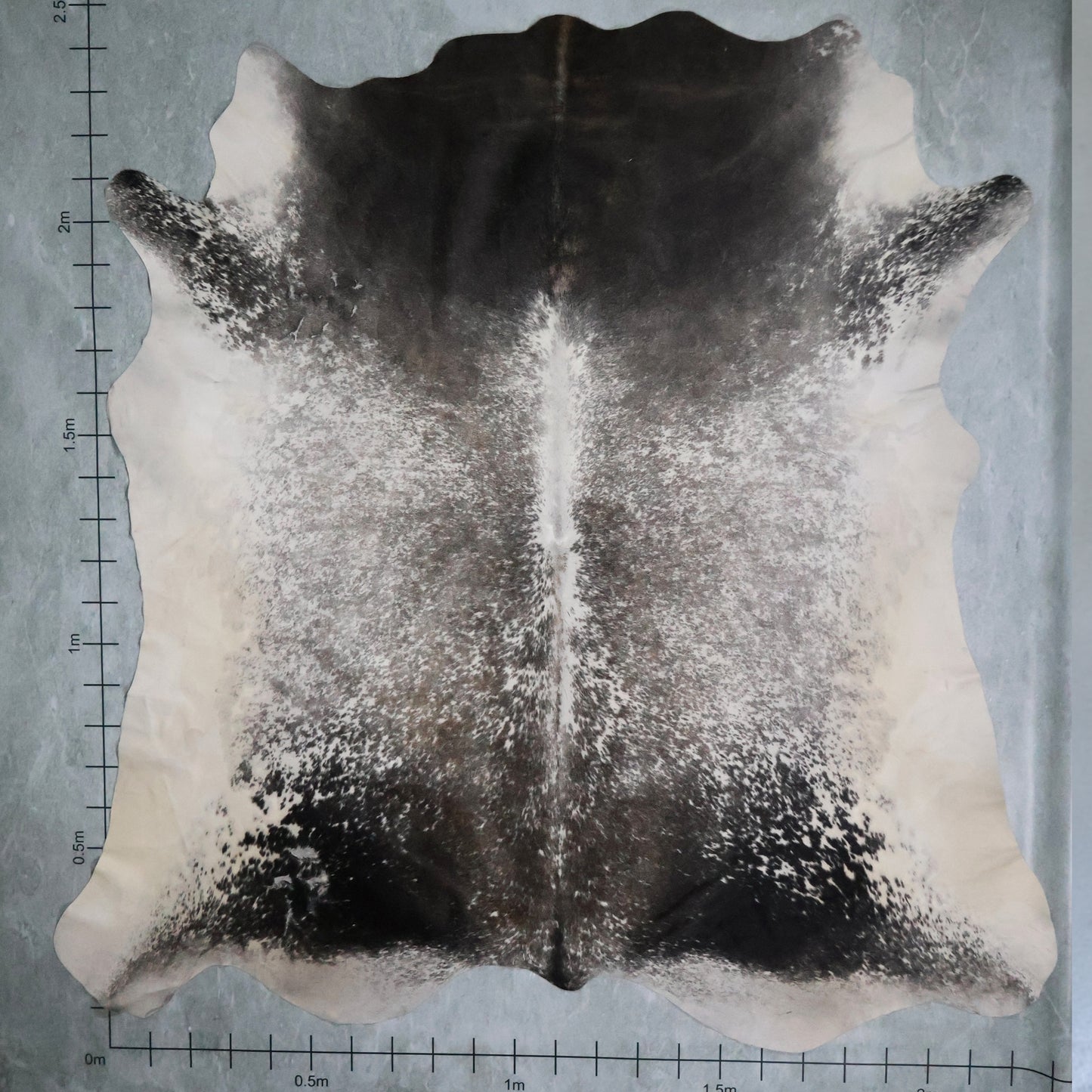 Premium Nguni Hide #AAS7994