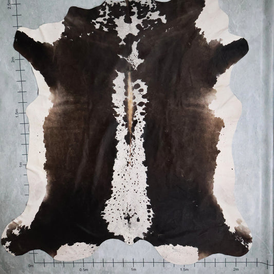 Premium Nguni Hide #AAS7996