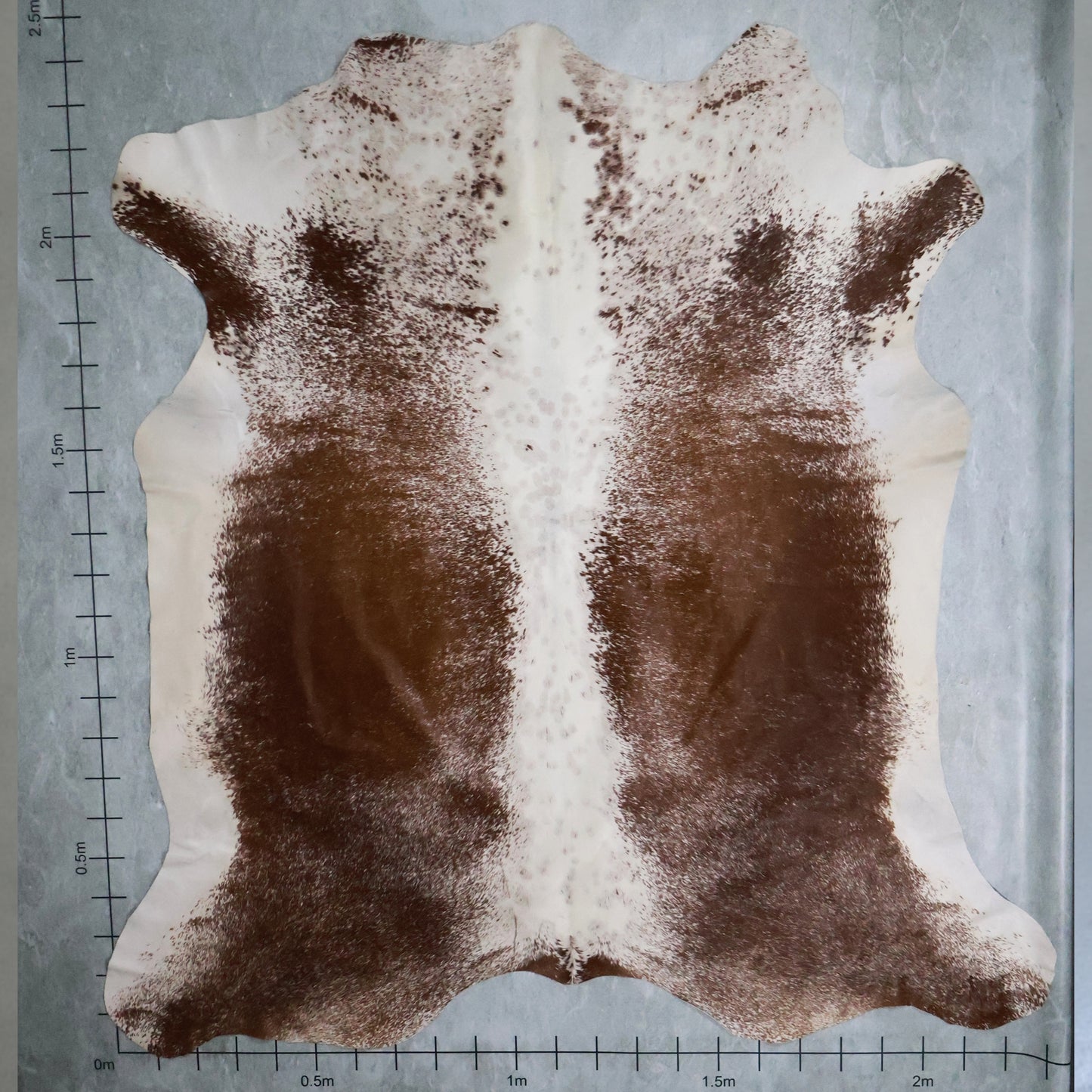 Premium Nguni Hide #AAS8000