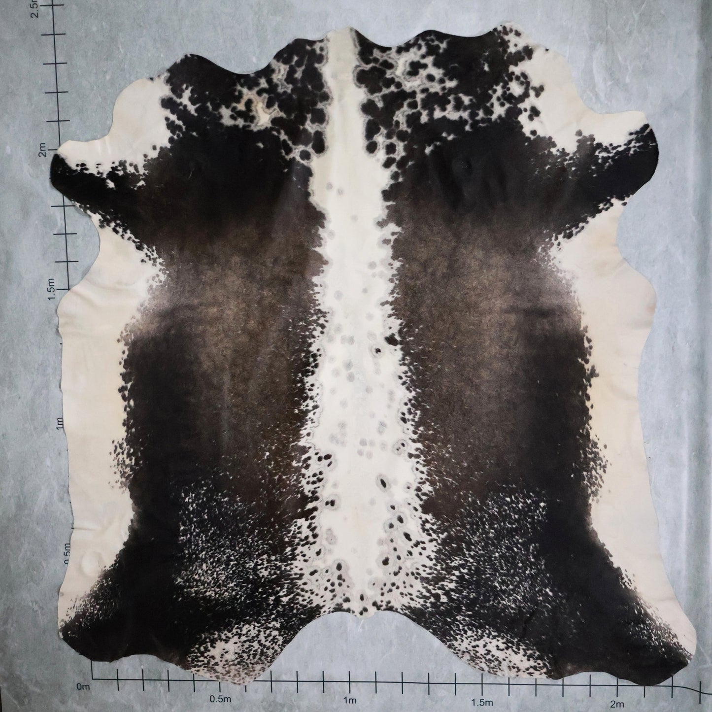 Premium Nguni Hide #AAS8008