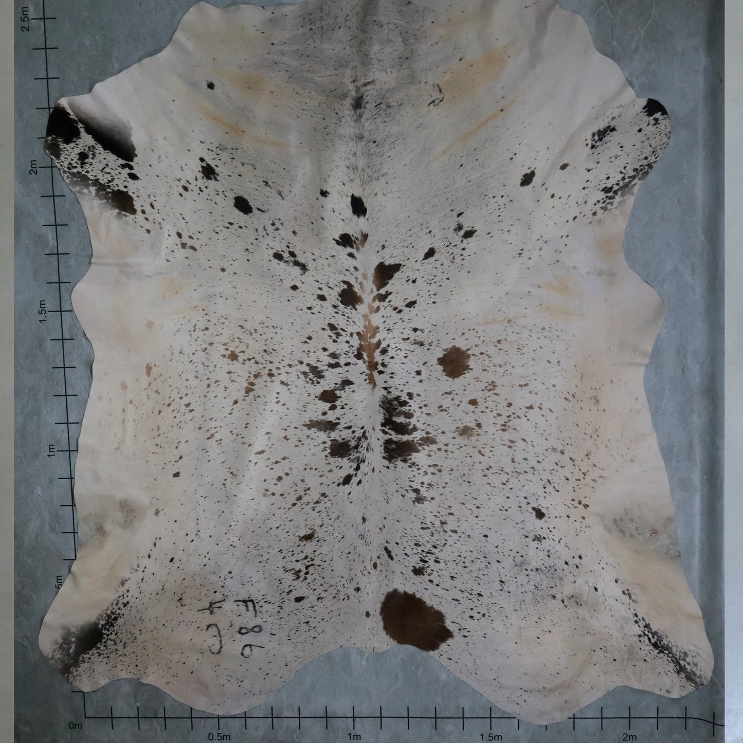 Premium Nguni Hide #AAS8014