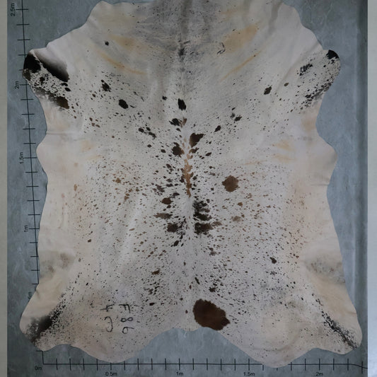 Premium Nguni Hide #AAS8014