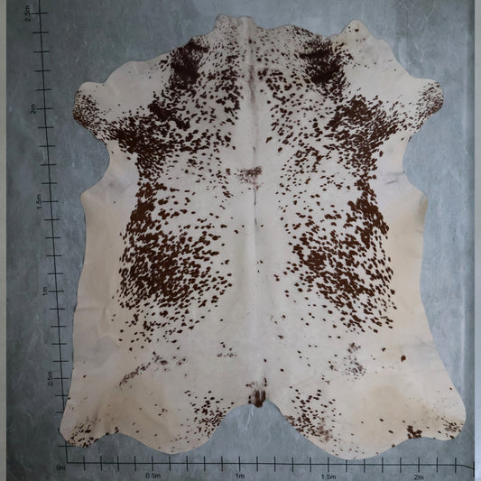 Premium Nguni Hide #AAS8017