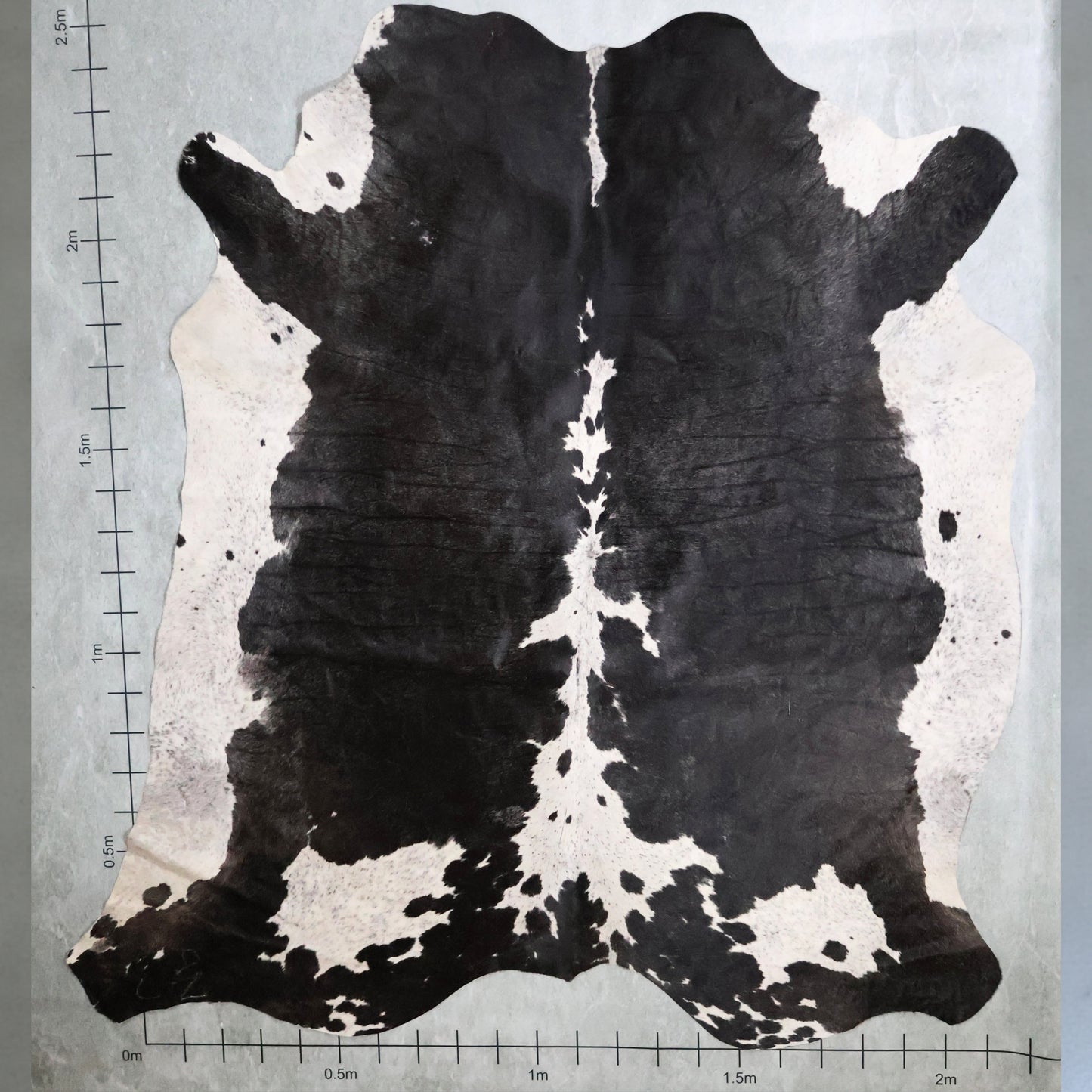 Premium Nguni Hide #AAS8070 (2.1m  X 2.5m)