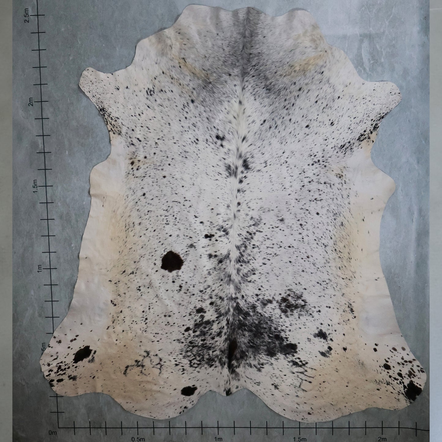 Premium Nguni Hide #AAS8090 (2.2m  X 2.5m)
