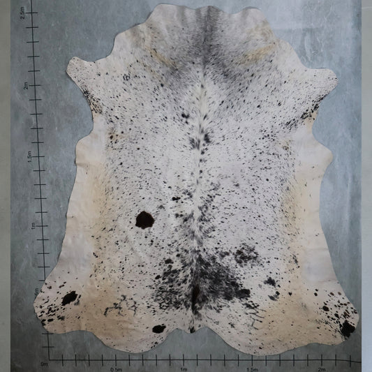 Premium Nguni Hide #AAS8090 (2.2m  X 2.5m)