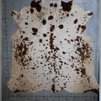 Premium Nguni Hide #AAS8117 (2.2m  X 2.4m)