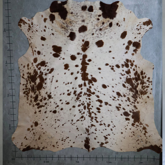 Premium Nguni Hide #AAS8117 (2.2m  X 2.4m)