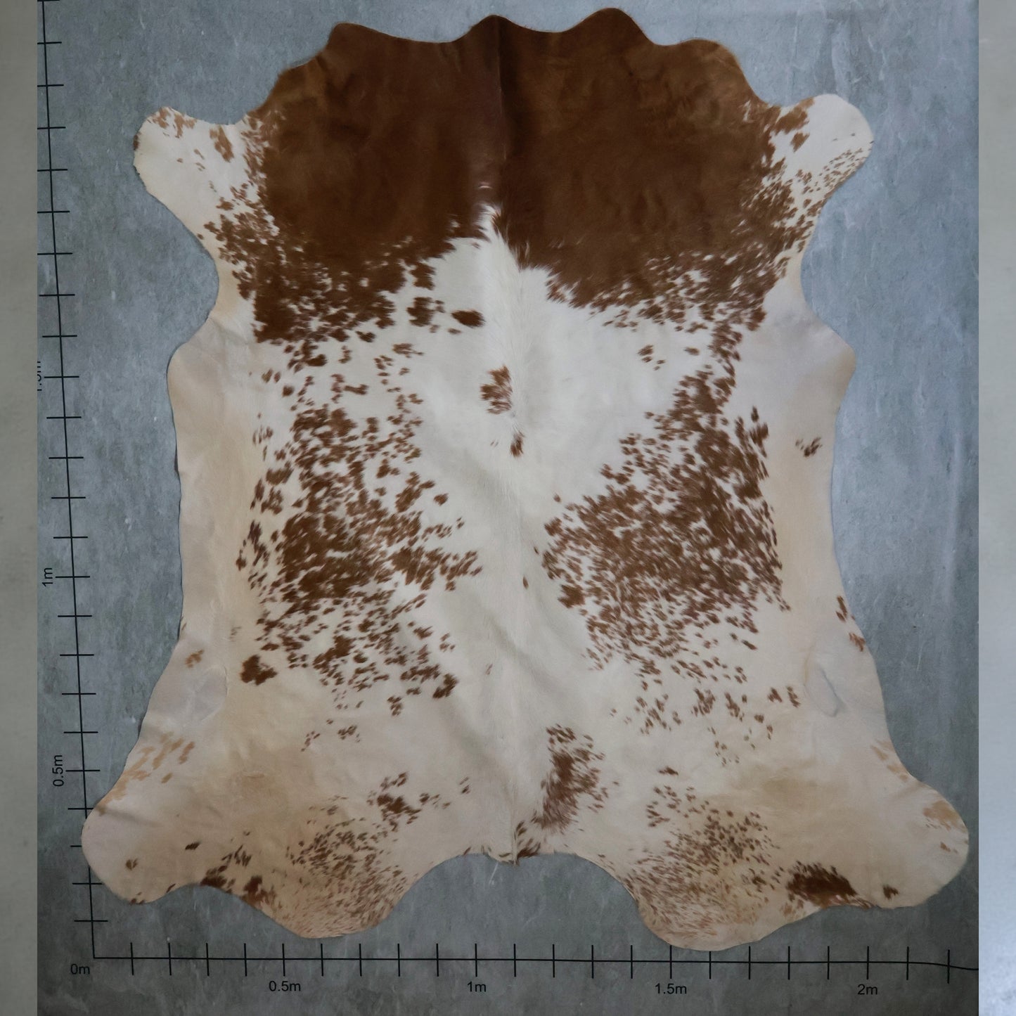 Premium Nguni Hide #AAS8119 (2.2m  X 2.3m)