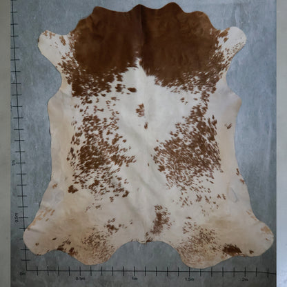 Premium Nguni Hide #AAS8119 (2.2m  X 2.3m)
