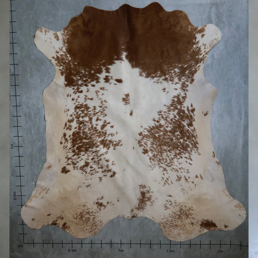 Premium Nguni Hide #AAS8119 (2.2m  X 2.3m)