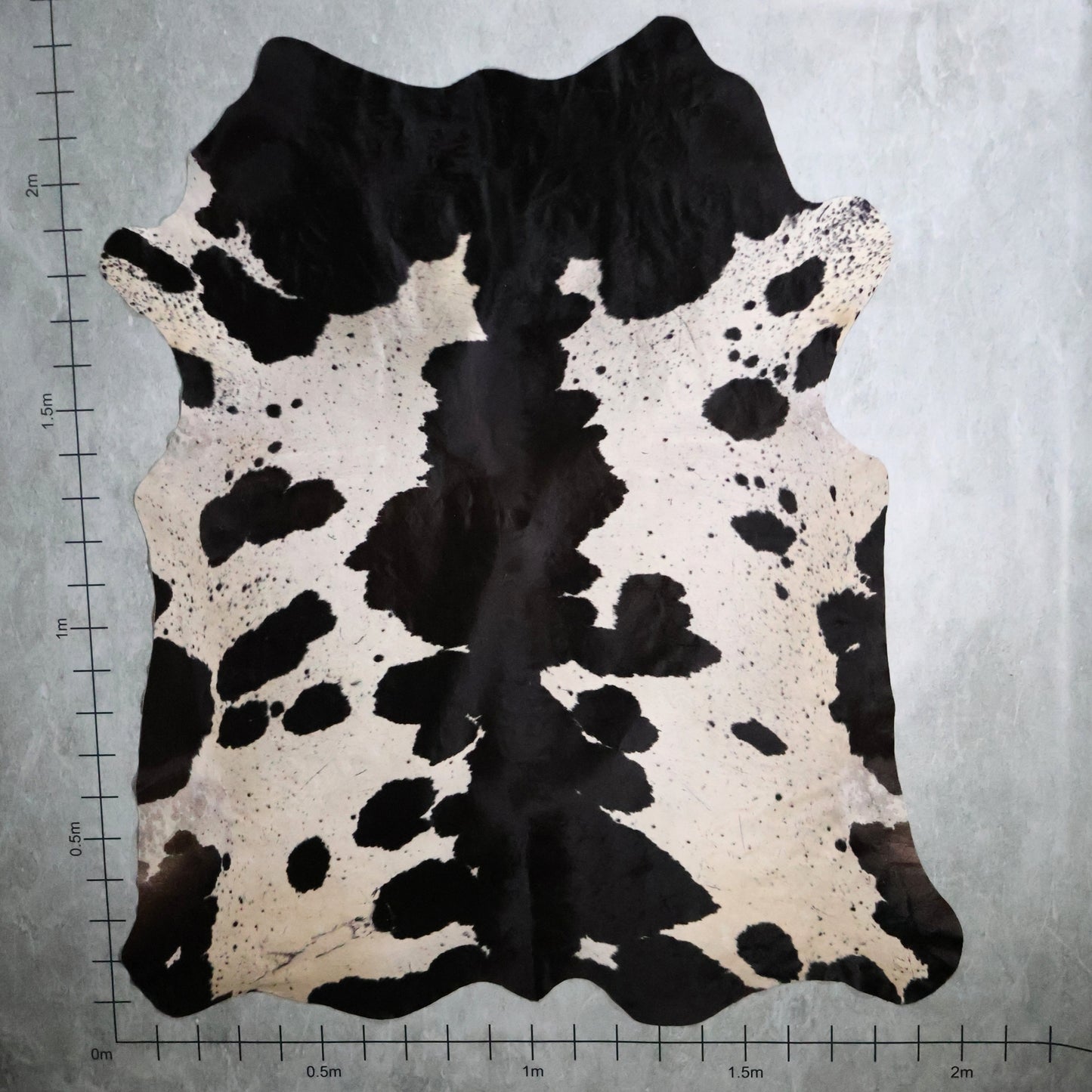 Premium Nguni Hide #AAS8132 (2.0m X 2.3m)