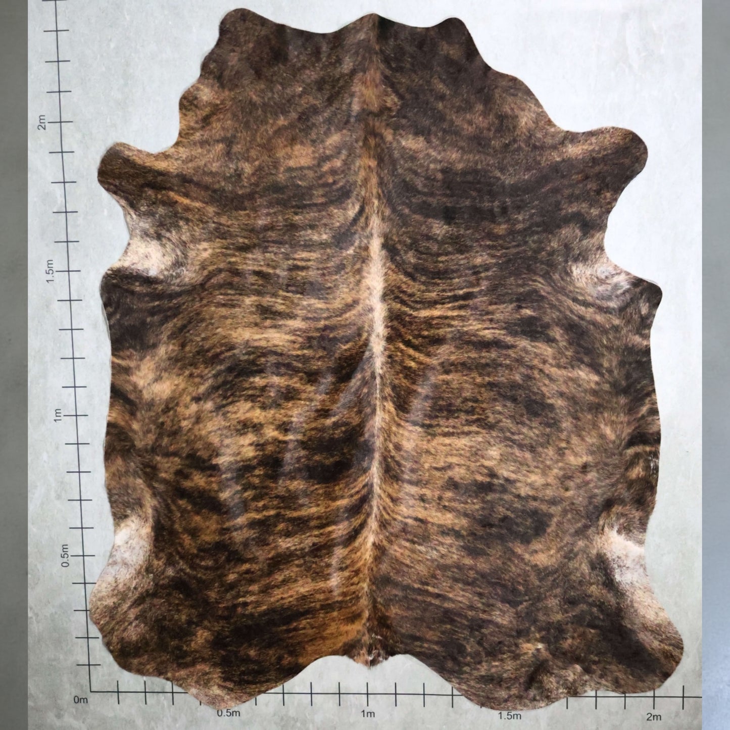 Premium Nguni Hide - Brindle Dark Brown |AAS8139 | 2.1m x 2.3m