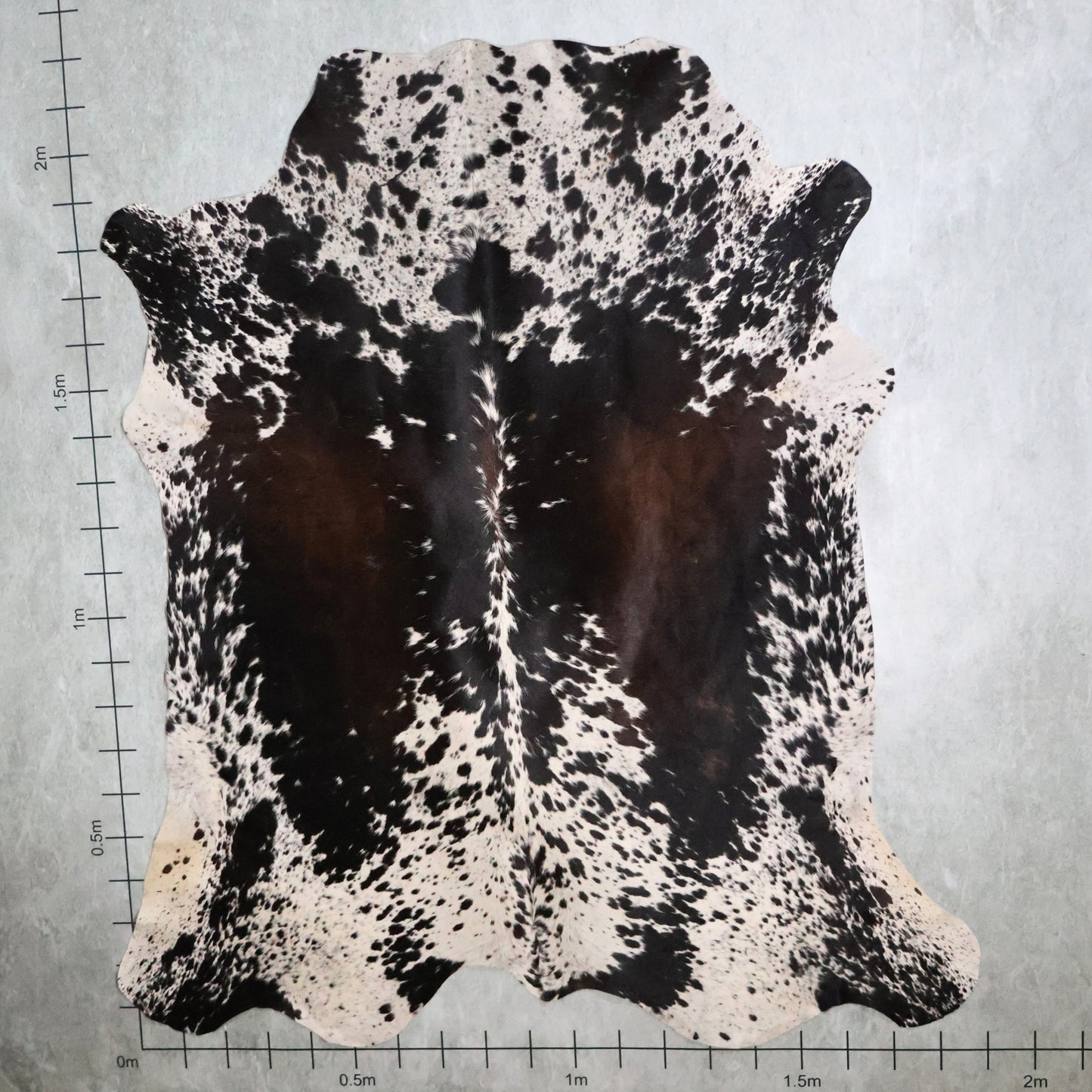 Premium Nguni Hide #AAS8147 (1.9m X 2.2m)