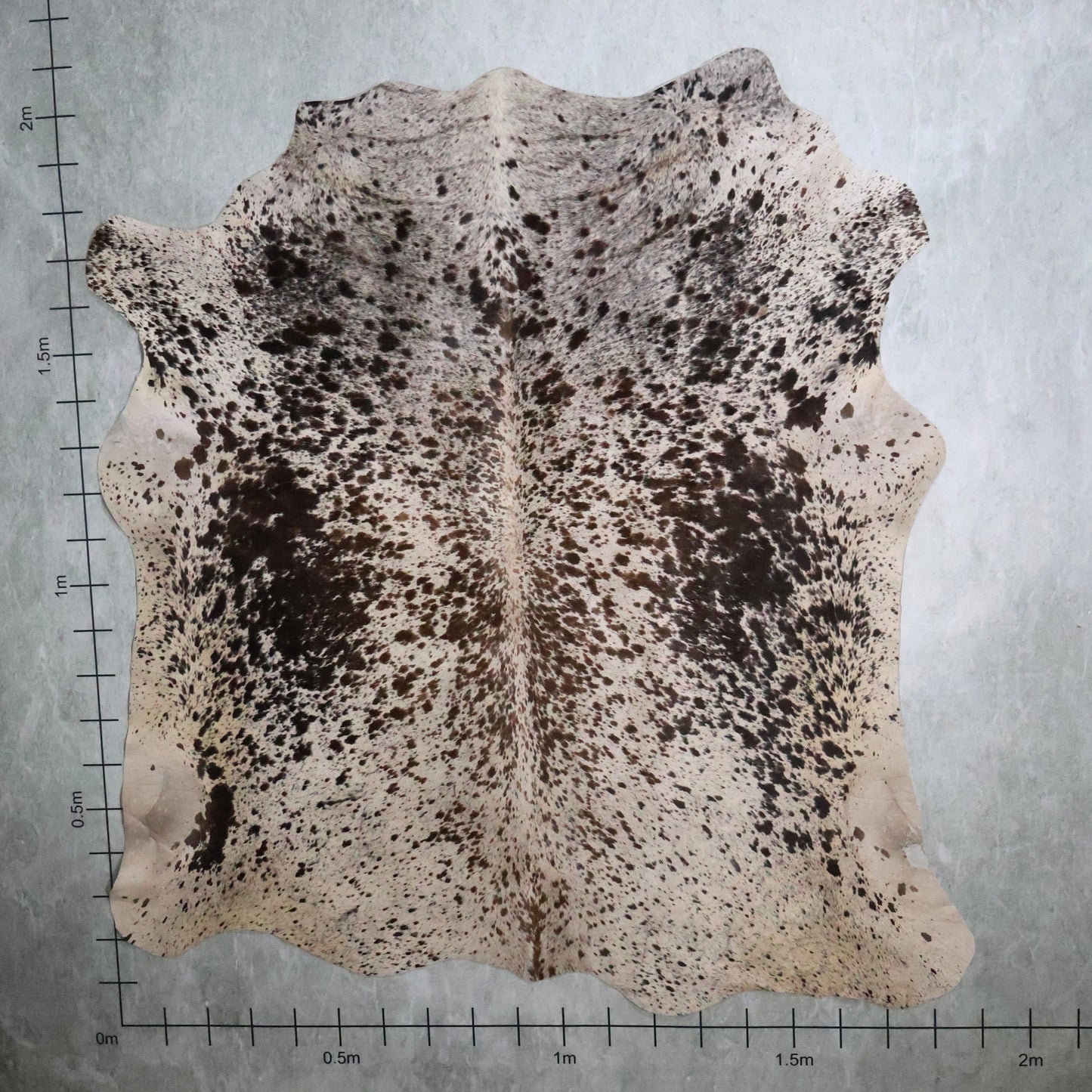 Premium Nguni Hide #AAS8152 (1.9m X 2.0m)