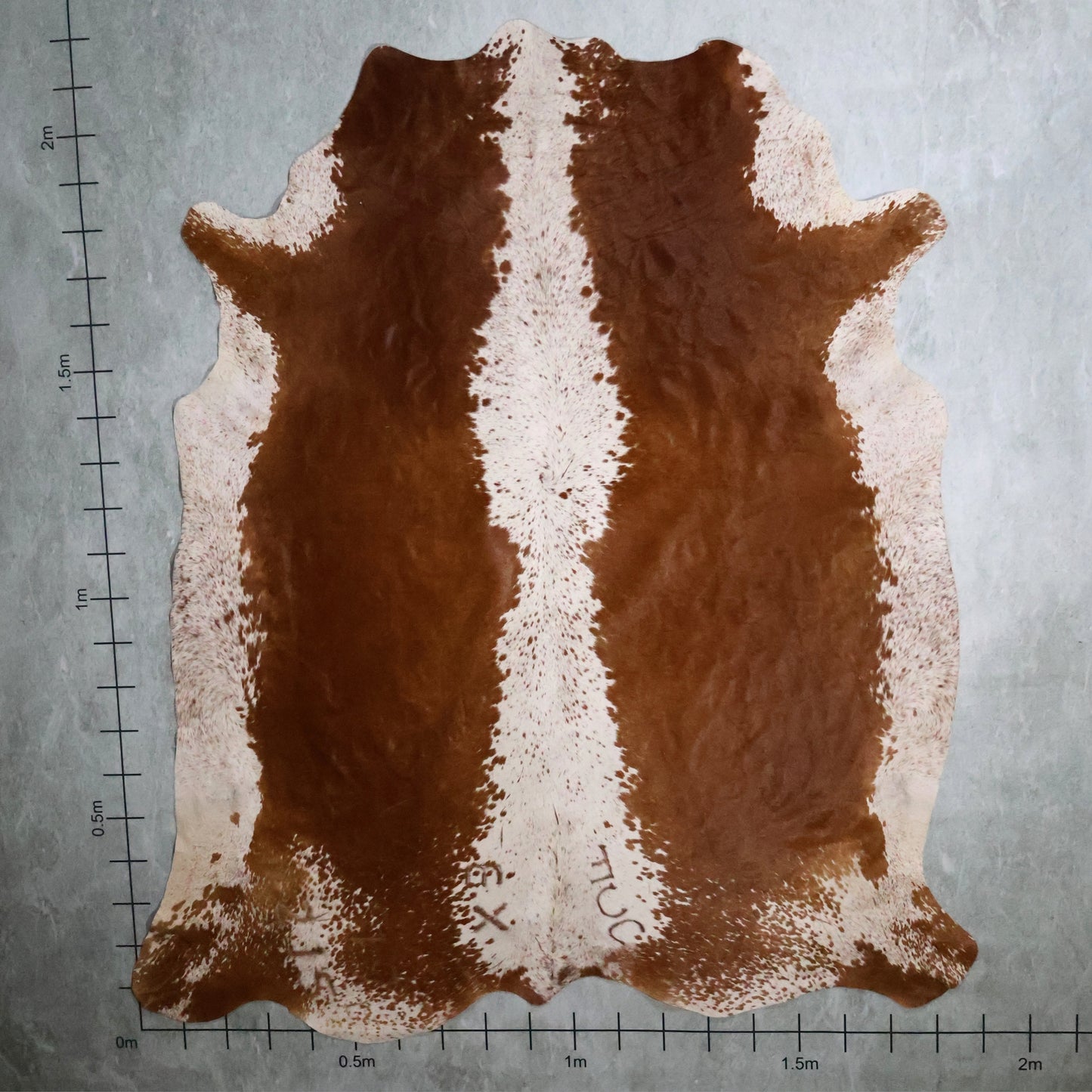 Premium Nguni Hide #AAS8162 (1.9m  X 2.2m)