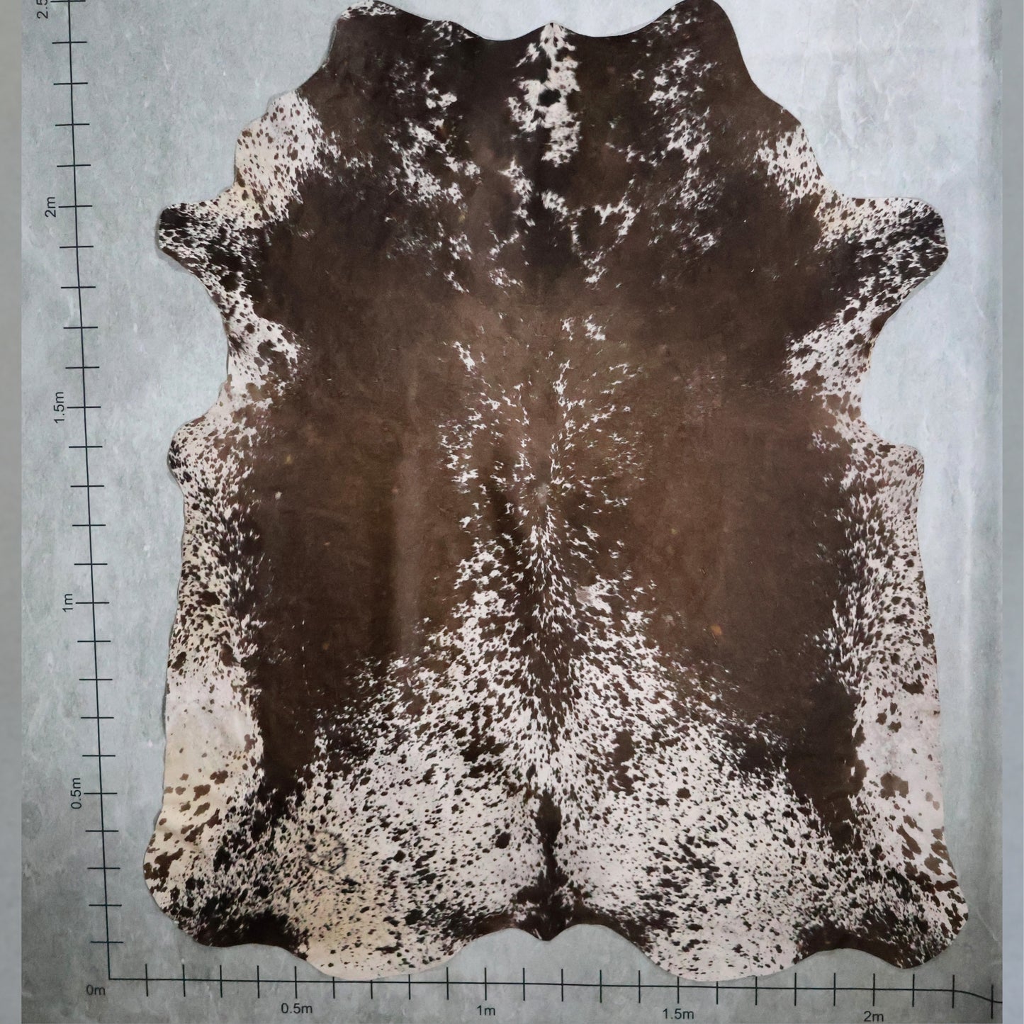 Premium Nguni Hide #AAS8166 (2.2m  X 2.4m)