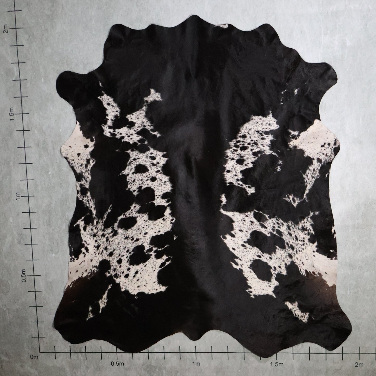 Premium Nguni Hide #AAS8169 (2.0m  X 2.0m)