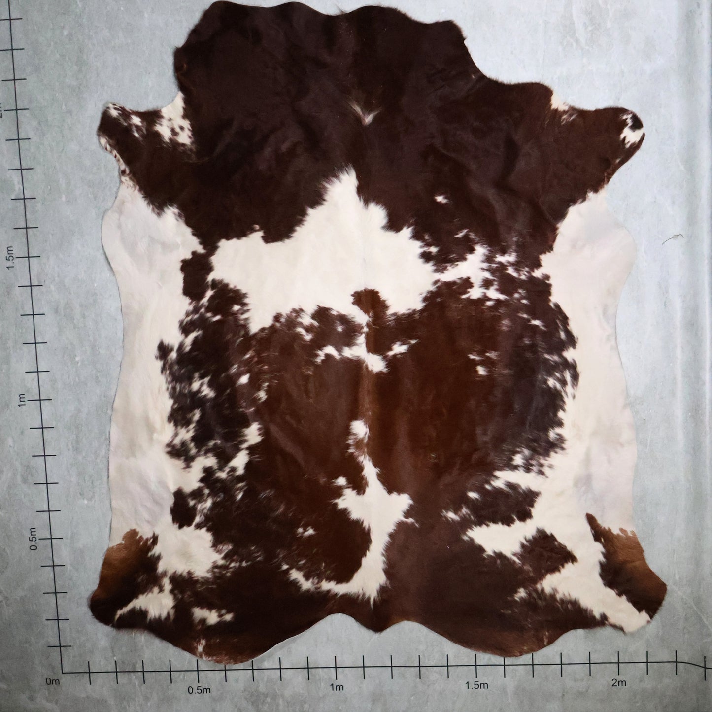 Premium Nguni Hide #AAS8171 (2.2m  X 2.3m)