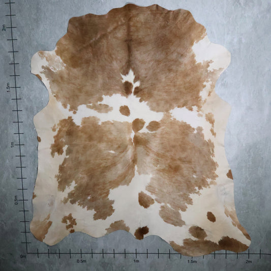 Premium Nguni Hide #AAS8177 (2.0m  X 2.1m)