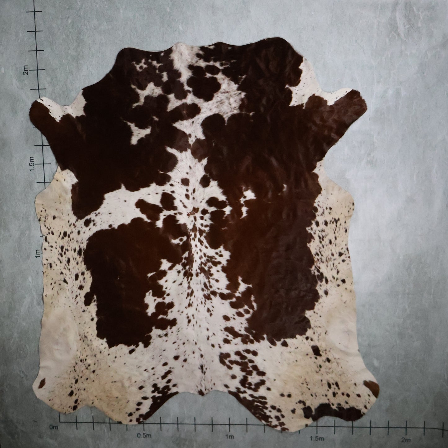 Premium Nguni Hide - Chestnut Brown & White | AAS8181 | 1.8m  X 2.1m
