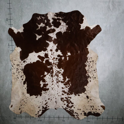 Premium Nguni Hide - Chestnut Brown & White | AAS8181 | 1.8m  X 2.1m