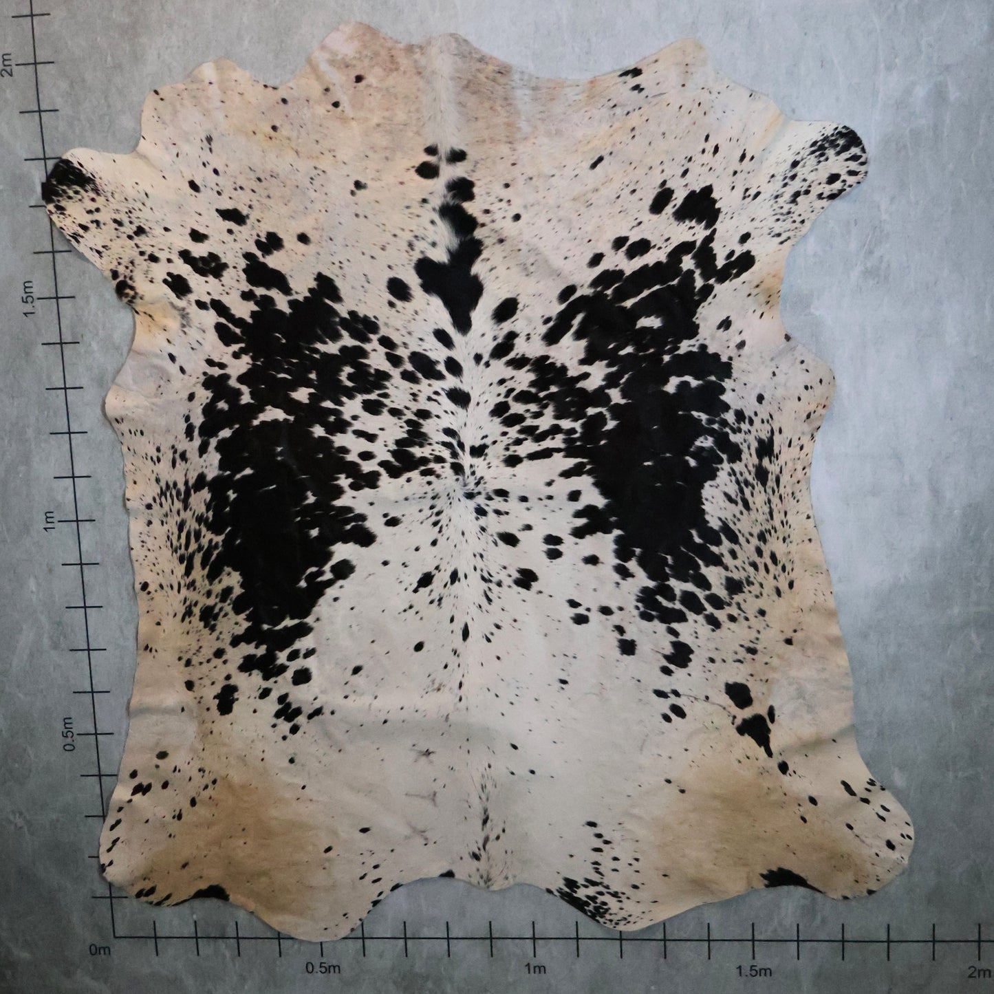 Premium Nguni Hide - Black & White | AAS8183 | 1.8m  X 2.0m