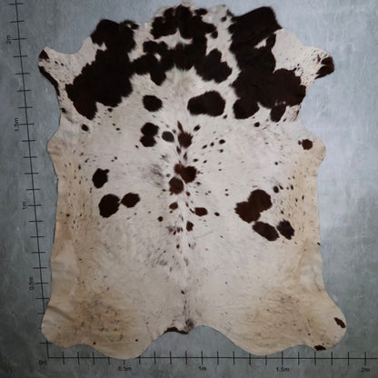 Premium Nguni Hide - Brown & White | AAS8186 | 1.8m  X 2.1m