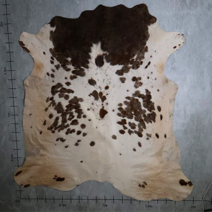 Premium Nguni Hide #AAS8201 (2.0m X 2.1m)