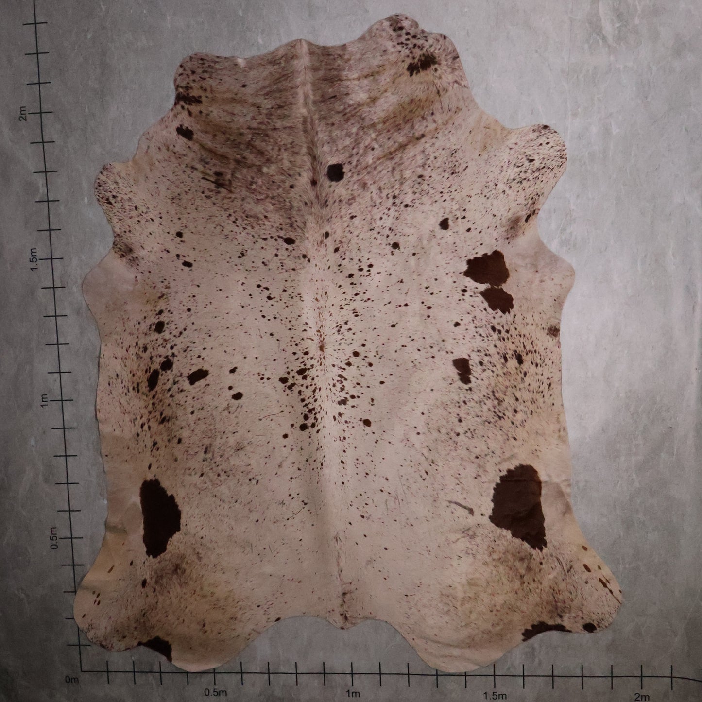 Premium Nguni Hide - Brown & Cream | AAS8209 | 1.9m X 2.2m