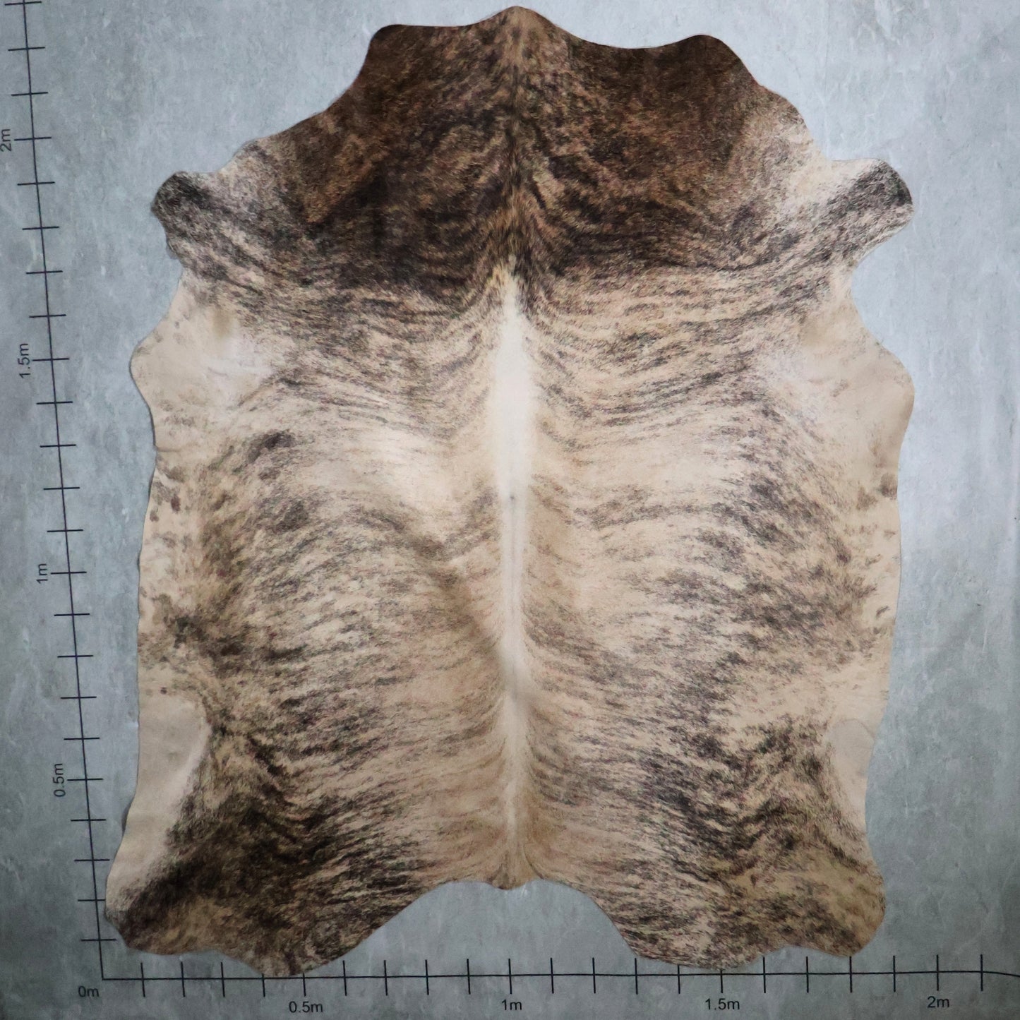 Premium Nguni Hide - Brindle Cream Brown | AAS8211 | 1.9m X 2.2m