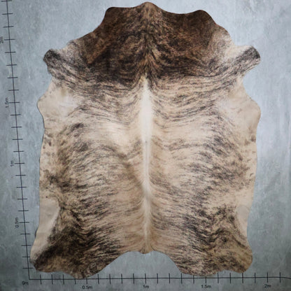 Premium Nguni Hide - Brindle Cream Brown | AAS8211 | 1.9m X 2.2m