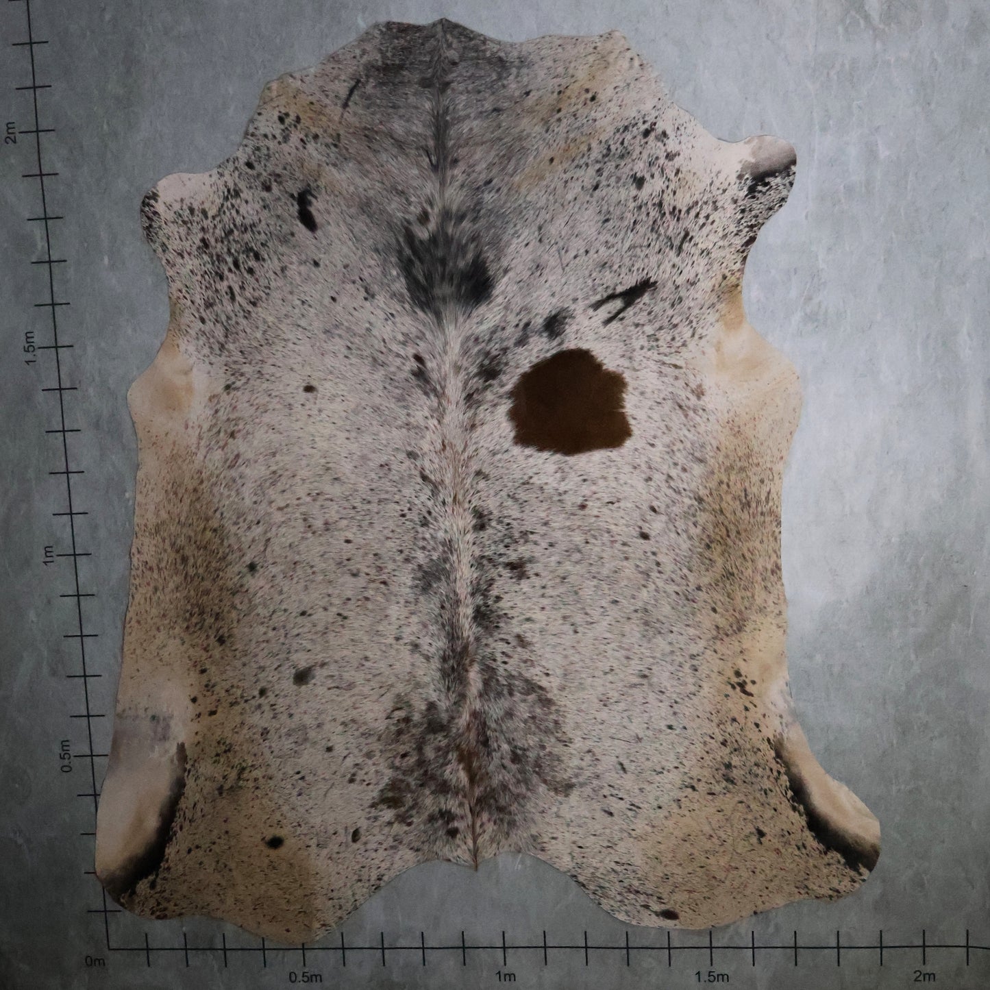 Premium Nguni Hide - Tri Colour Grey, Brown & Cream | AAS8213 | 1.9m X 2.2m