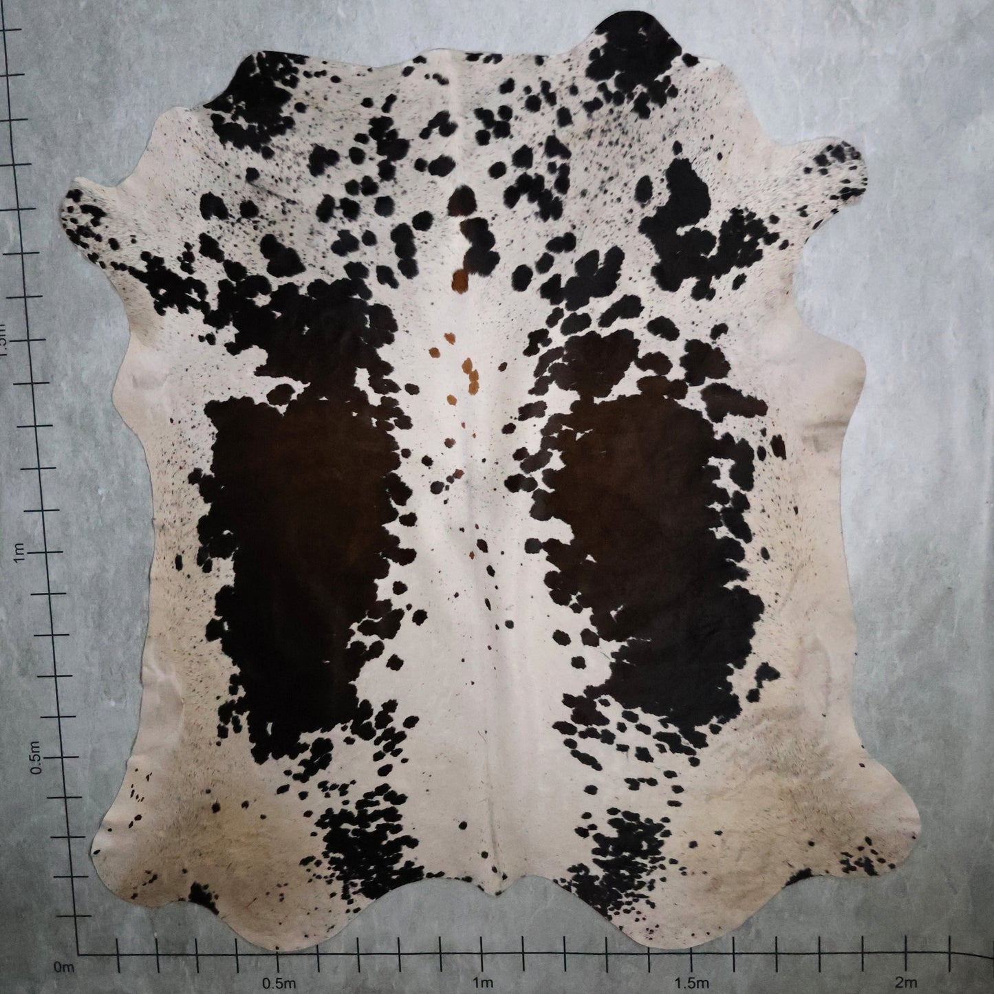 Premium Nguni Hide - Brown & White | AAS8219 | 2.0m X 2.1m