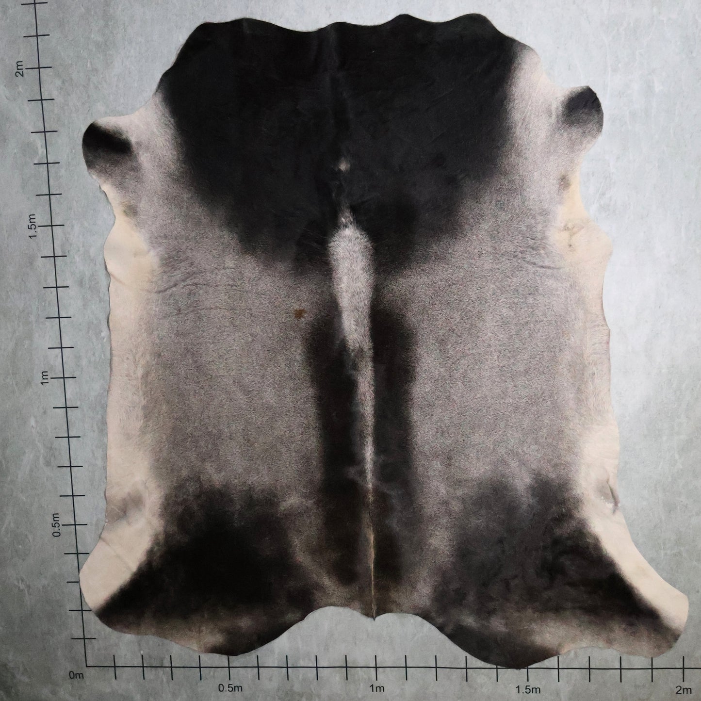 Premium Nguni Hide - Grey & Black | AAS8222 | 2.0m X 2.1m