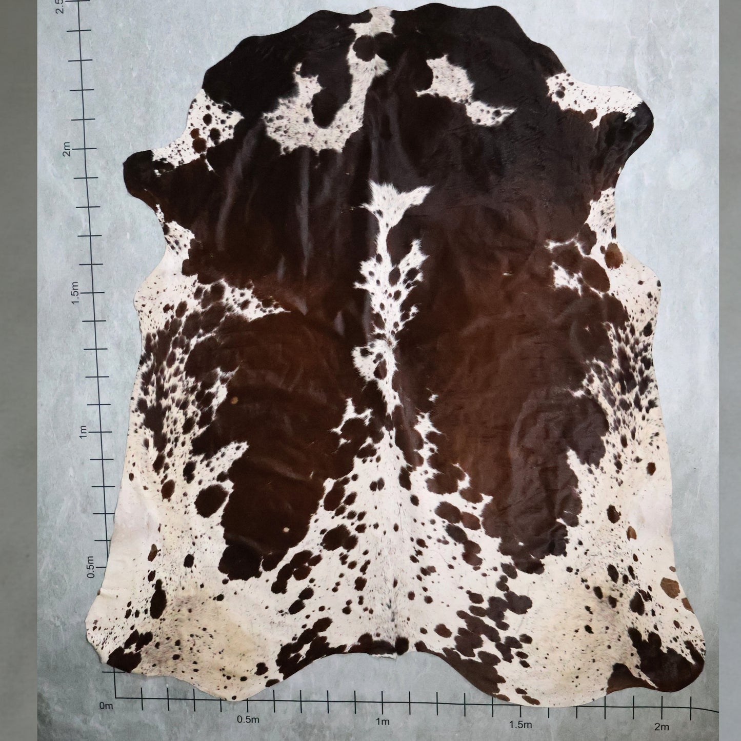 Premium Nguni Hide - Chestnut Brown & White | AAS8228 | 2.1m x 2.4m