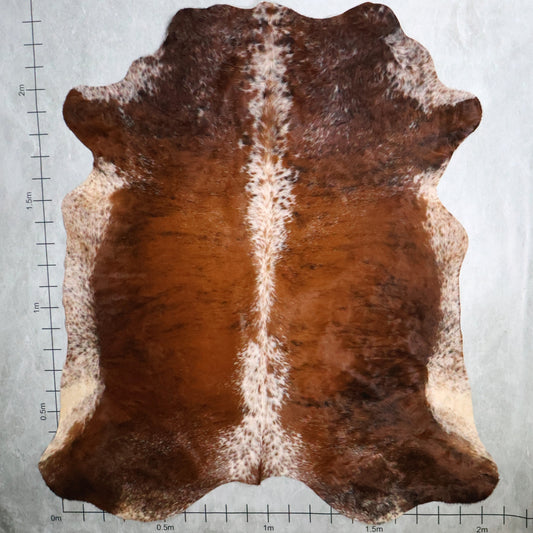 Premium Nguni Hide - Brindle Chestnut Brown & White | AAS8233 | 2.0m x 2.3m