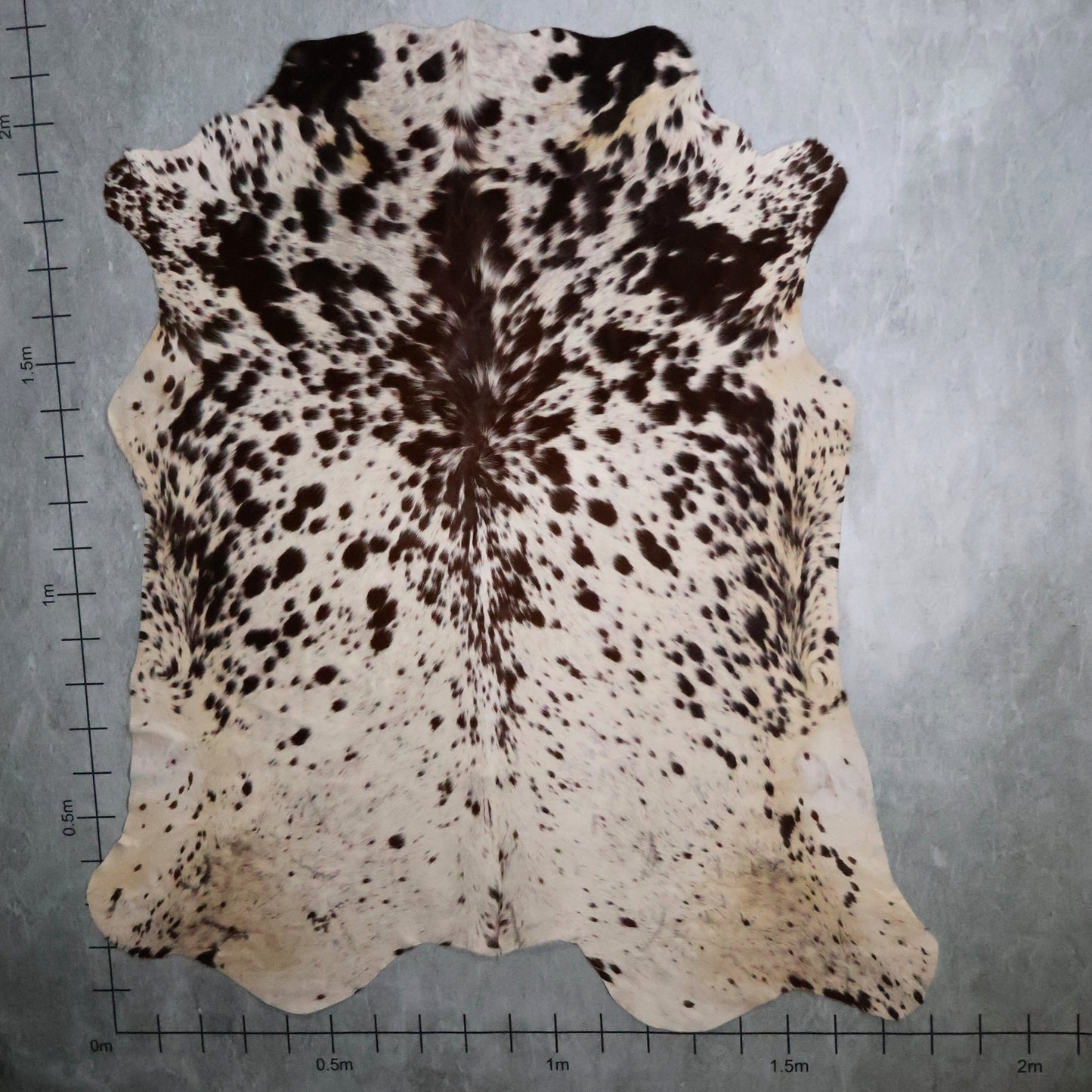 Premium Nguni Hide - Brown & White | AAS8238 | 1.8m x 2.1m