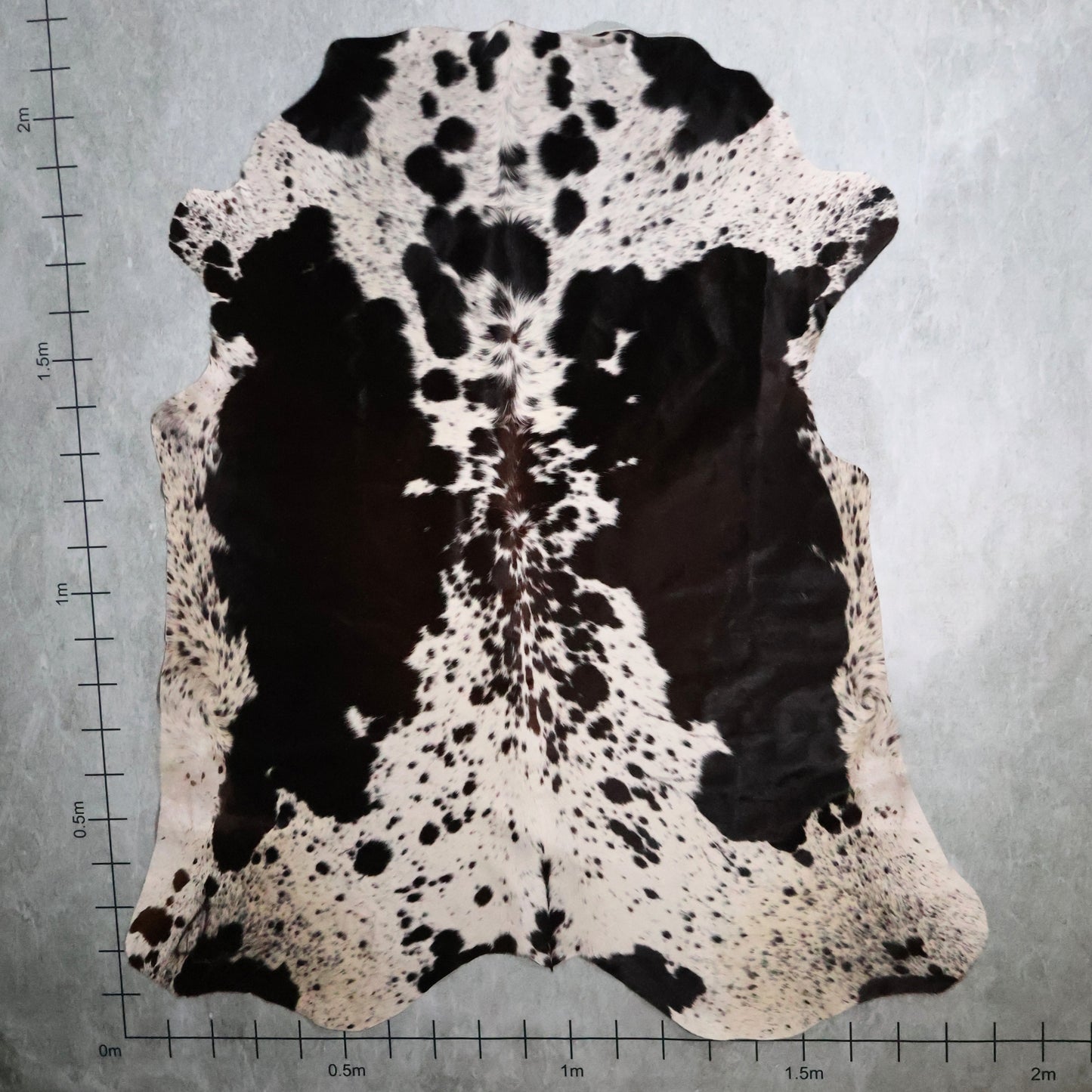 Premium Nguni Hide - Dark Brown & White | AAS8240 | 1.9m x 2.1m
