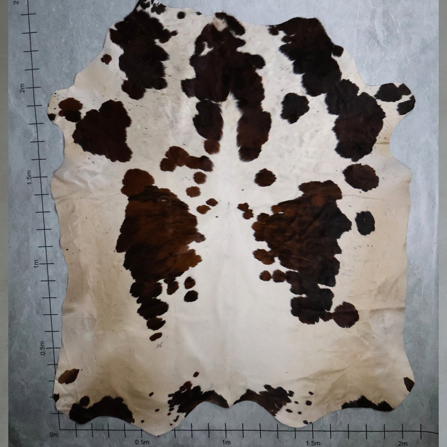 Premium Nguni Hide - Tri Brown & White | AAS8246 | 2.1m x 2.4m