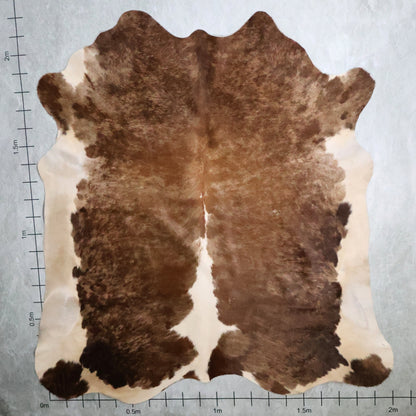 Premium Nguni Hide - Warm Caramel Brown & White | AAS8248 | 2.0m x 2.2m