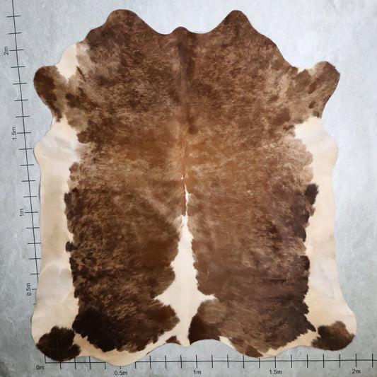 Premium Nguni Hide - Warm Caramel Brown & White | AAS8248 | 2.0m x 2.2m