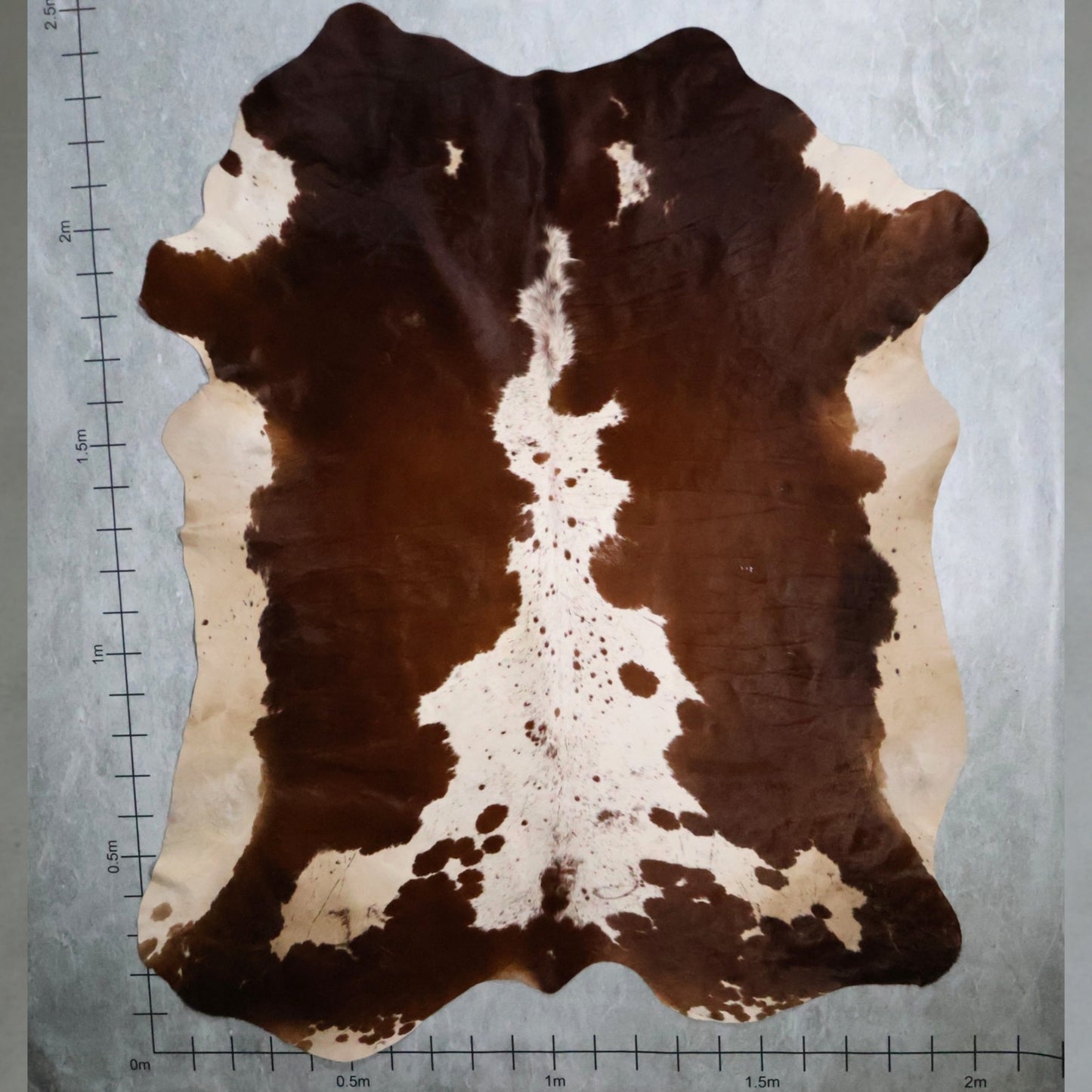 Premium Nguni Hide - Chestnut Brown & White | AAS8249 | 2.0m x 2.4m