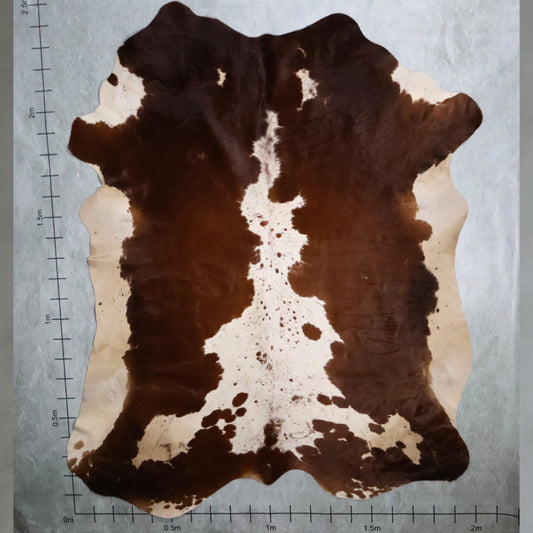 Premium Nguni Hide - Chestnut Brown & White | AAS8249 | 2.0m x 2.4m