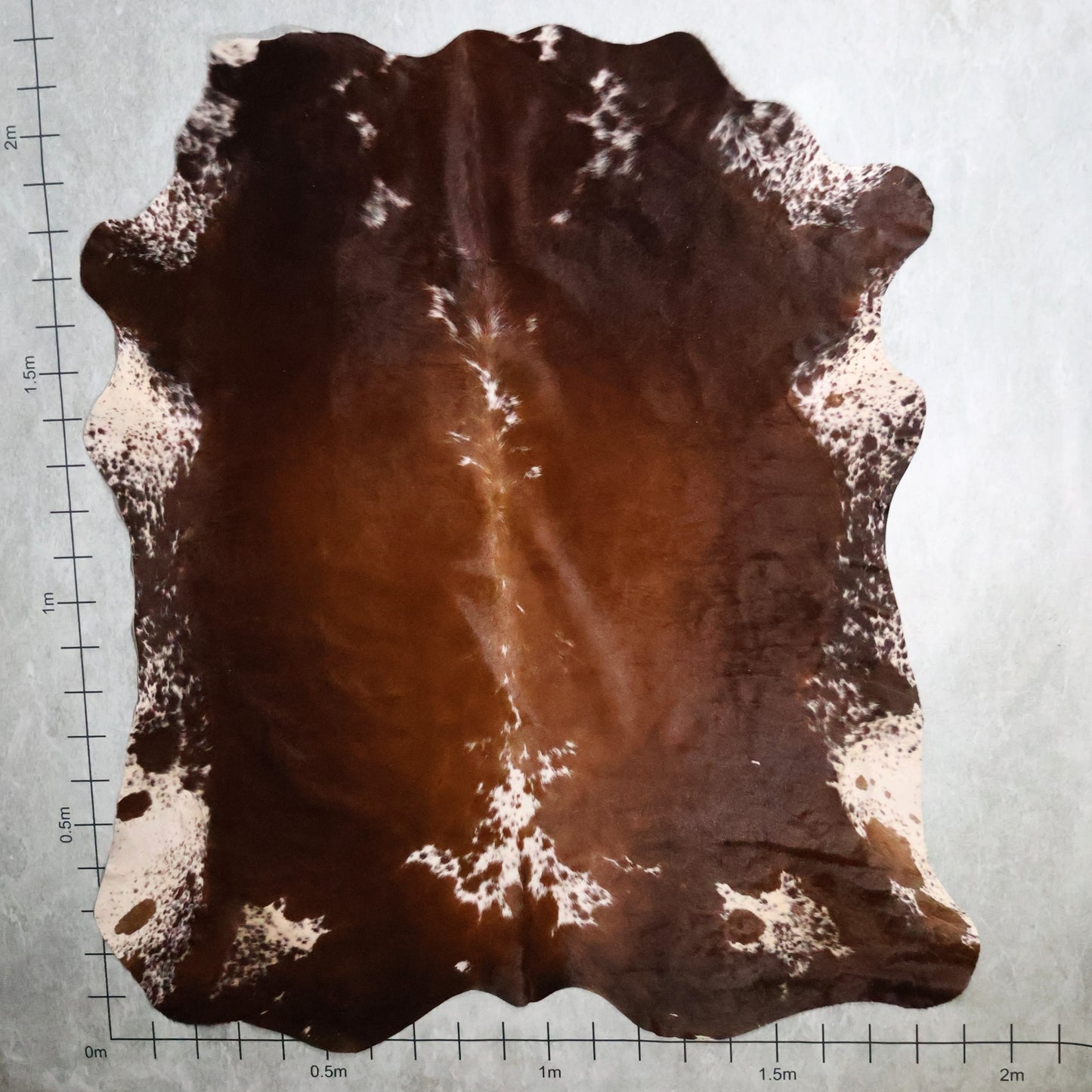 Premium Nguni Hide - Rich Chestnut Brown and White | AAS8256 | 1.9m x 2.2m