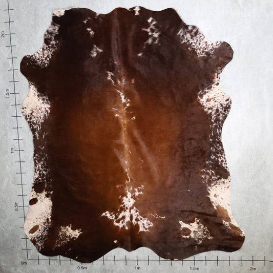 Premium Nguni Hide - Rich Chestnut Brown and White | AAS8256 | 1.9m x 2.2m