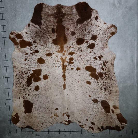 Premium Nguni Hide - Caramel Brown & White | AAS8266 | 2.1m x 2.2m