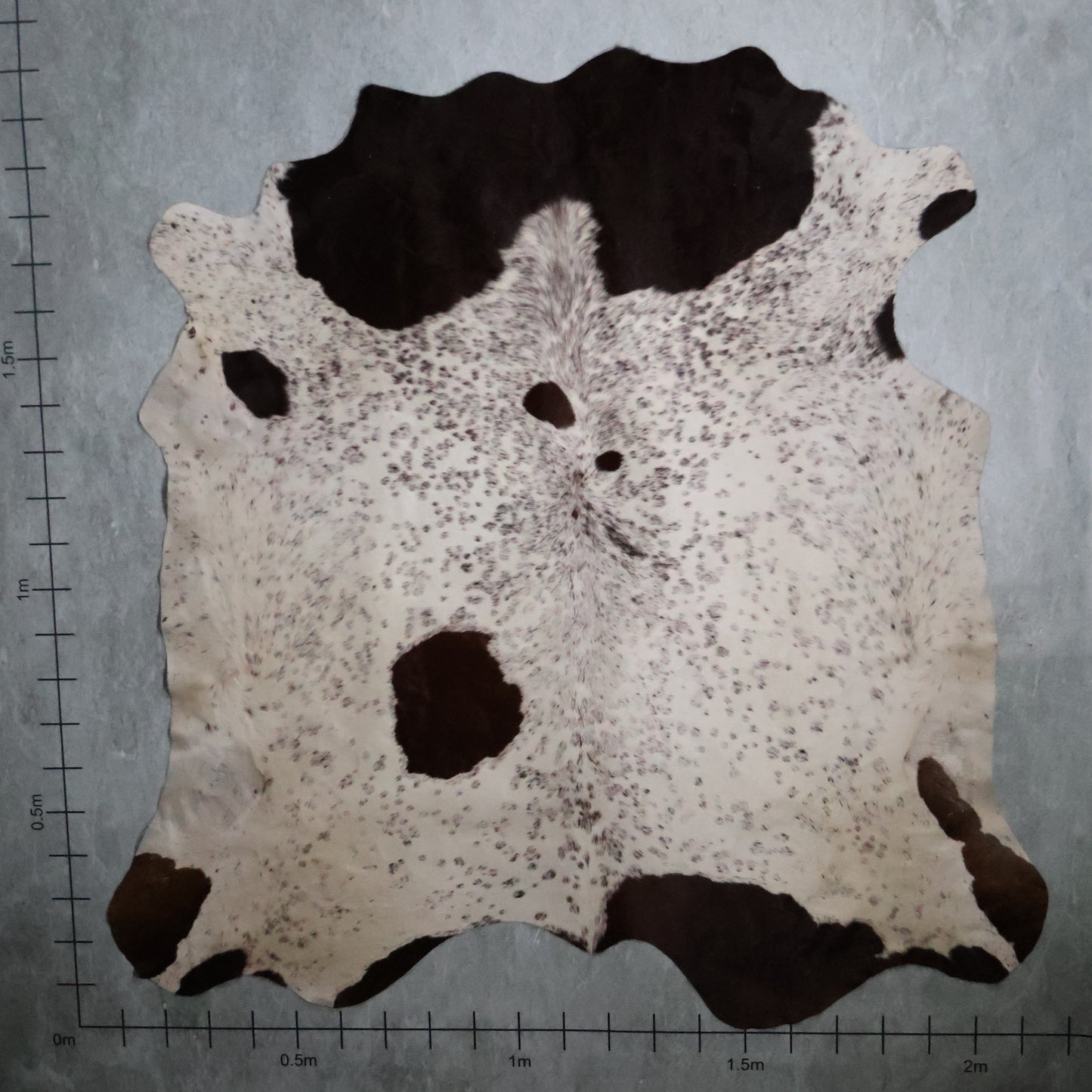 Premium Nguni Hide - Dark Brown & White | AAS8268 | 2.1m x 2.1m