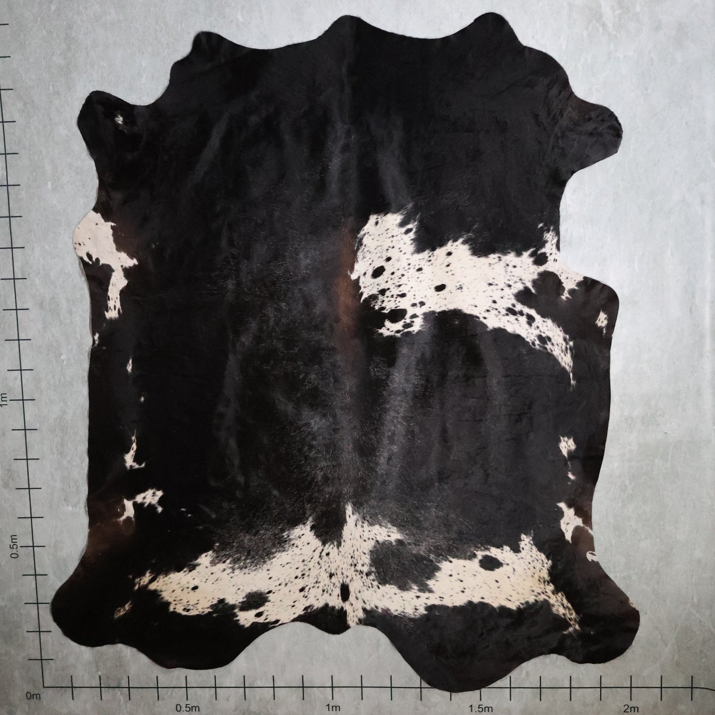 Premium Nguni Hide - Dark Brown & White | AAS8270 | 2.0m x 2.2m